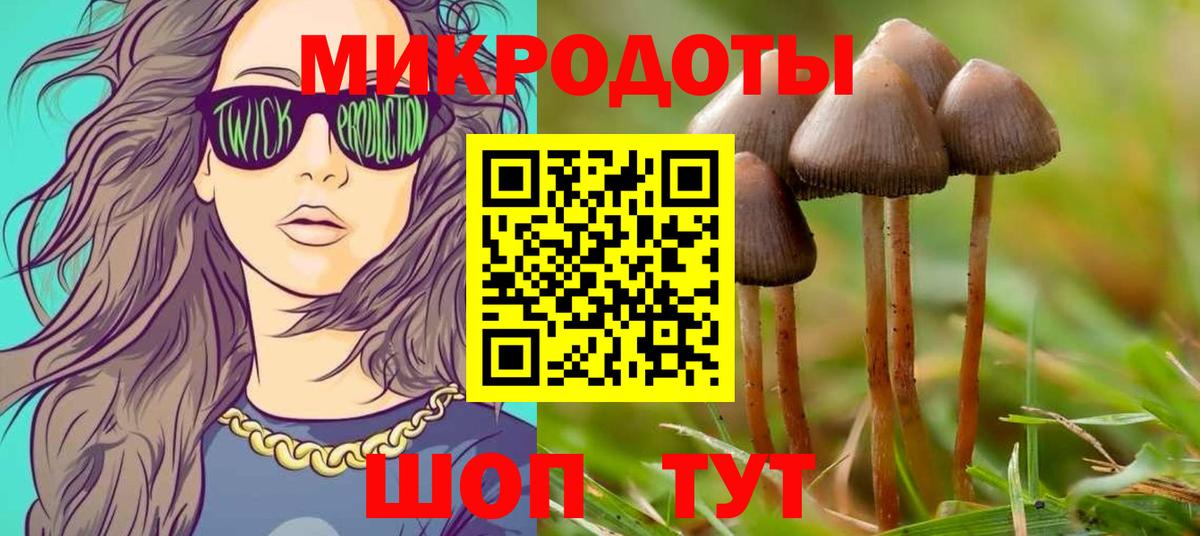 Псилоцибиновые грибы Cubensis  цены   Дзержинск  Вход с VPN 
